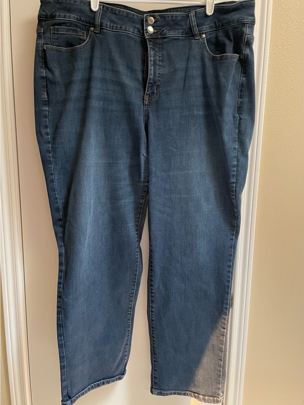 Lane Bryant Jeans